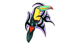 Foto tatuaje de Guacamayo