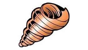 Foto tatuaje de Caracola