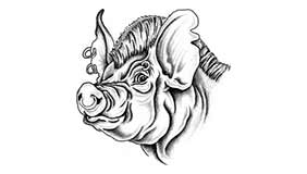 Foto tatuaje de Cerdo salvaje