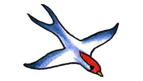 Foto tatuaje de Albatros