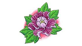 Foto de tatuaje de Peonía (Flor) Foto de tatuaje de Peonía (Flor)