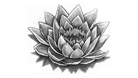Foto tatuaje de Flor de loto