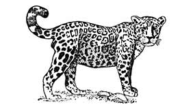 Foto tatuaje de Jaguar